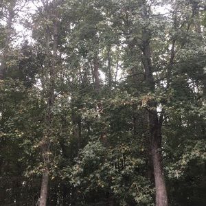 Meet your Posher, Danni